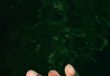 “자고 일어났는데도 다리가 퉁퉁 부어요”… 여름 부종, 그냥 넘기면 안 되는 이유 a person's hand reaching for a frisbee in the water