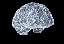 “뇌건강, 일상 속 작은 실천에서 시작하세요” a close up of a human brain on a black background