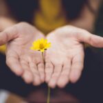 마음챙김 루틴으로 지키는 현대인의 정신건강 selective focus photography of woman holding yellow petaled flowers