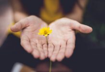 마음챙김 루틴으로 지키는 현대인의 정신건강 selective focus photography of woman holding yellow petaled flowers
