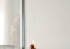 일상에서 실천하는 대체요법, 건강한 생활의 새로운 선택지 person holding orange flower in front of white wall