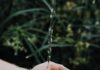 건강한 모발을 위한 똑똑한 습관, 일상에서 실천하기 water drop on persons hand